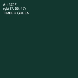 #11372F - Timber Green Color Image